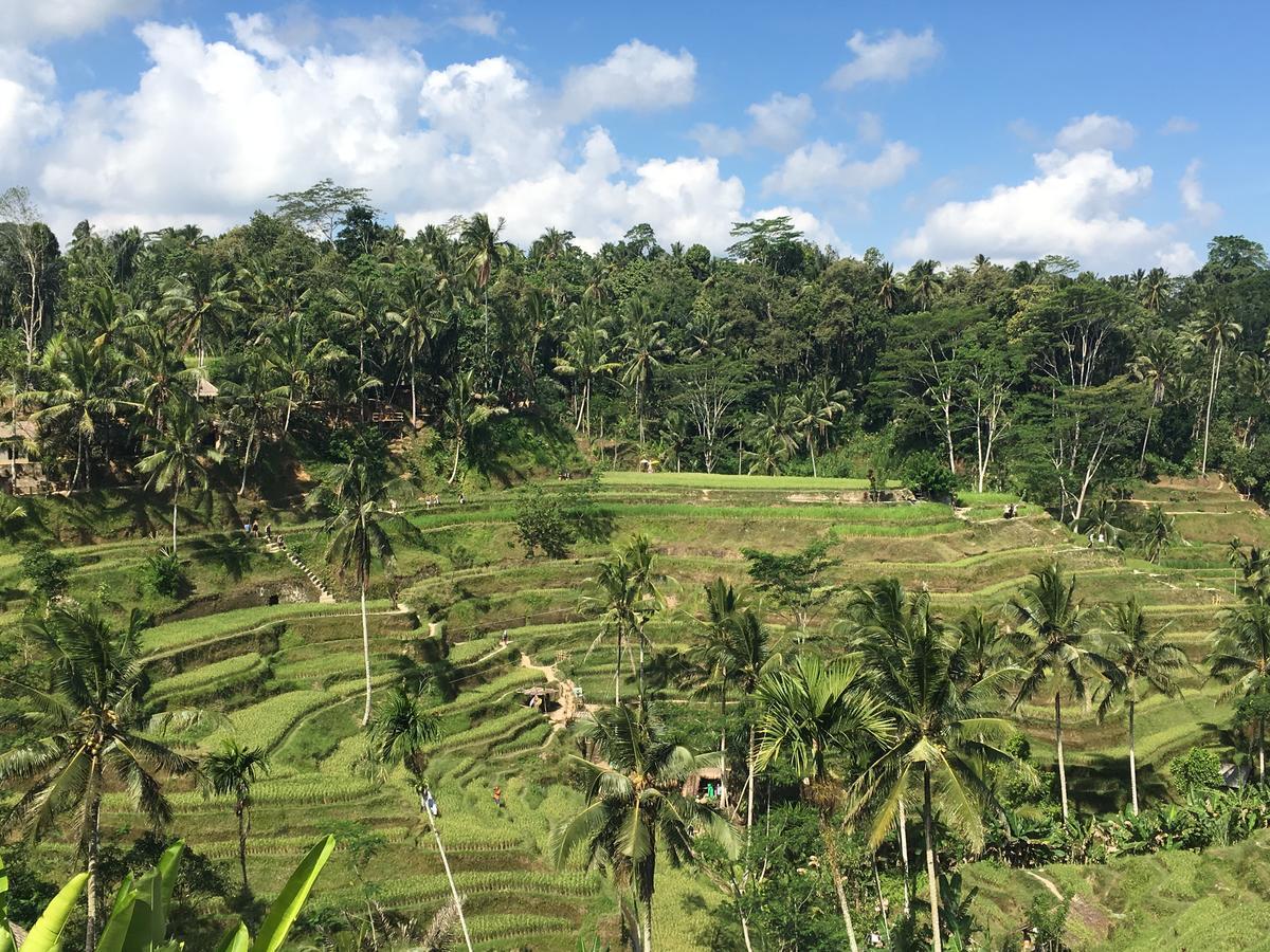 Villa Maha Ubud Exteriör bild